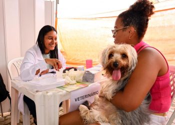 Cães e gatos recebem atendimento veterinário gratuito em Candeias 