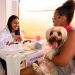 Cães e gatos recebem atendimento veterinário gratuito em Candeias