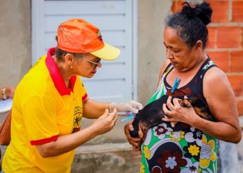 Candeias terá atendimento veterinário gratuito nesta quinta-feira (18) 