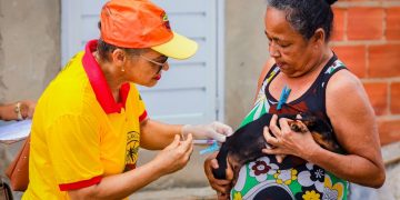 Candeias terá atendimento veterinário gratuito nesta quinta-feira (18) 
