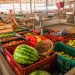 Candeias: Vendedores de hortifrúti do Centro de Abastecimento são convocados para atualização cadastral