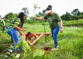 Candeias: Comemorações da Semana do Meio Ambiente começa com plantio de árvores nativas
