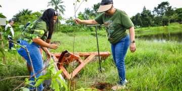 Candeias: Comemorações da Semana do Meio Ambiente começa com plantio de árvores nativas