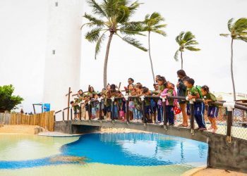 Candeias: Visita ao Projeto Tamar desperta consciência ambiental em alunos da rede municipal