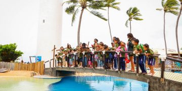 Candeias: Visita ao Projeto Tamar desperta consciência ambiental em alunos da rede municipal