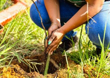 Candeias: Ações de conscientização marcaram mês dedicado ao Meio Ambiente 