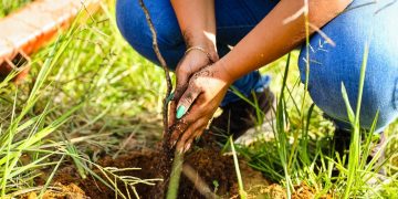 Candeias: Ações de conscientização marcaram mês dedicado ao Meio Ambiente 