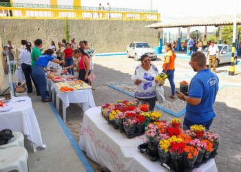 Candeias: SEMAN recepciona amigos e familiares de falecidos com flores, música e café da manhã
