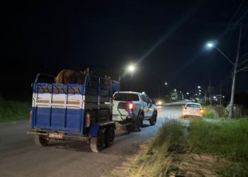 Candeias: Prefeitura intensifica recolhimento de animais soltos na BA-522