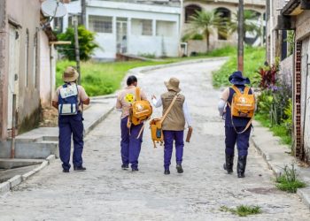 Candeias: Ação de conscientização de combate à doença de Chagas será realizada na próxima segunda-feira (27)