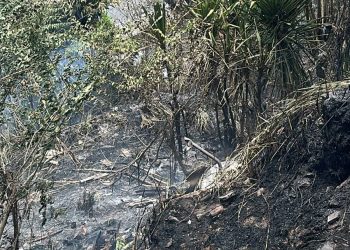 Candeias: Defesa Civil alerta para aumento de focos de incêndio durante período de estiagem e orienta população sobre medidas de prevenção
