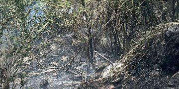 Candeias: Defesa Civil alerta para aumento de focos de incêndio durante período de estiagem e orienta população sobre medidas de prevenção