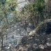 Candeias: Defesa Civil alerta para aumento de focos de incêndio durante período de estiagem e orienta população sobre medidas de prevenção